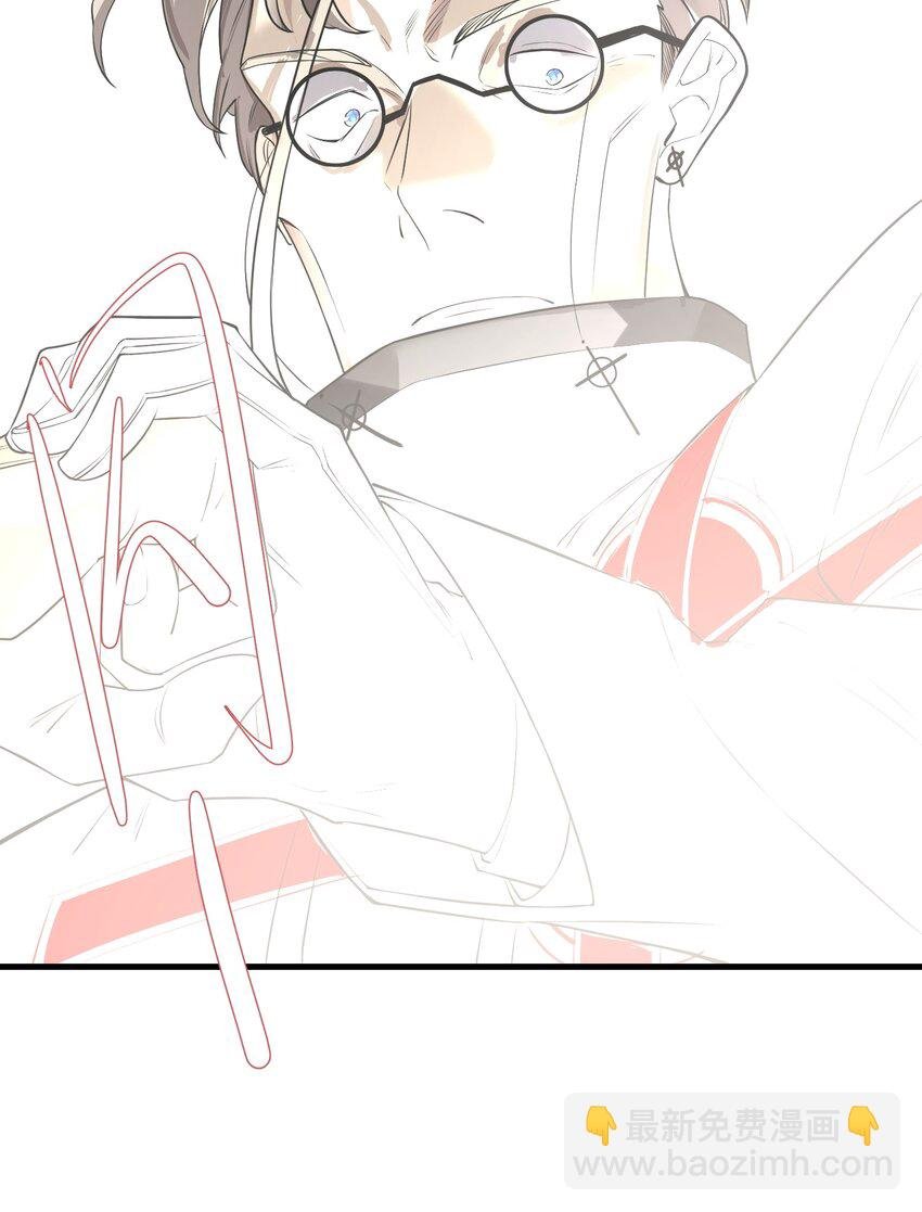 028 狐狸