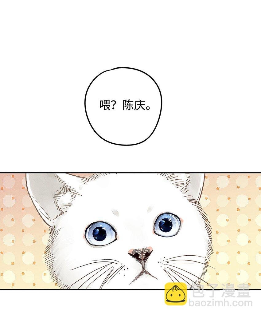 11 截然不同的生活