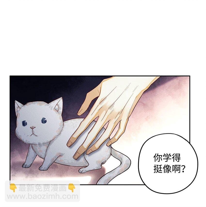 31 你的取向是……男？