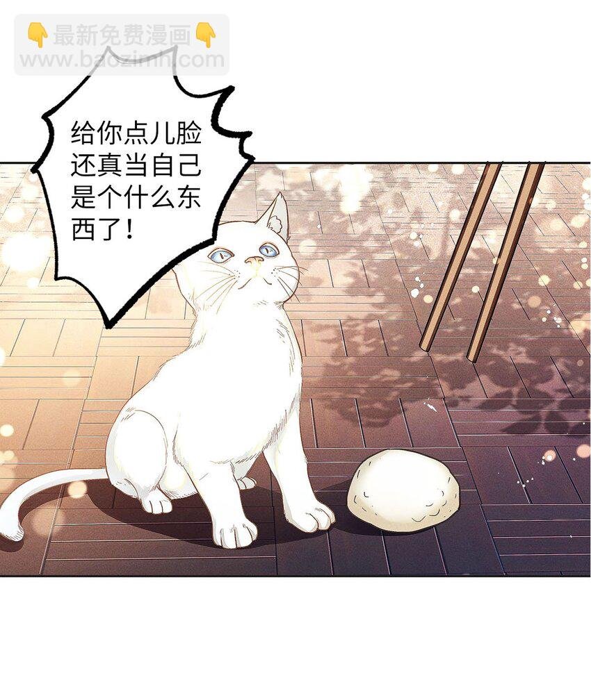 06 智商堪忧的总护法