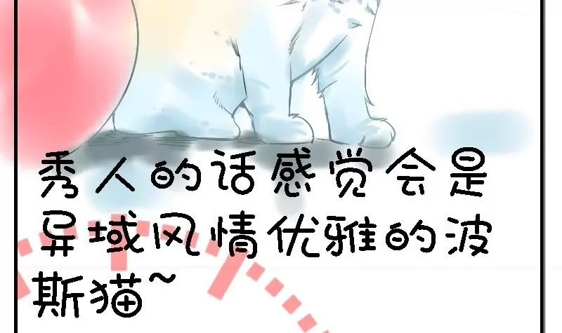 第24话 喵伯爵~