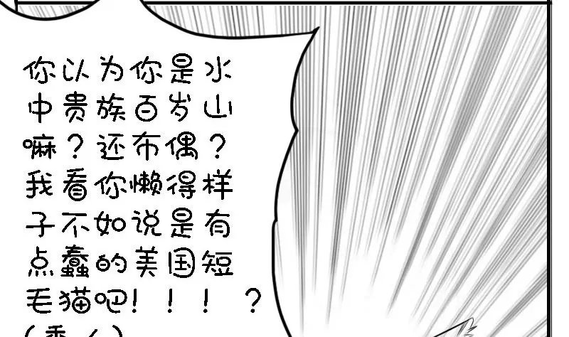 第24话 喵伯爵~
