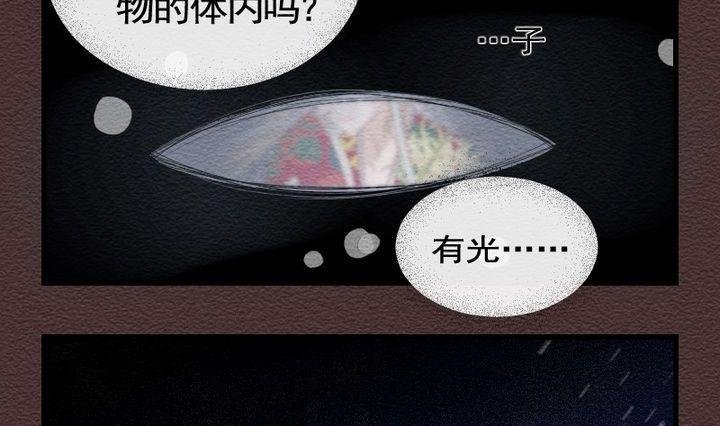 第21话 袭击！走私交易 六