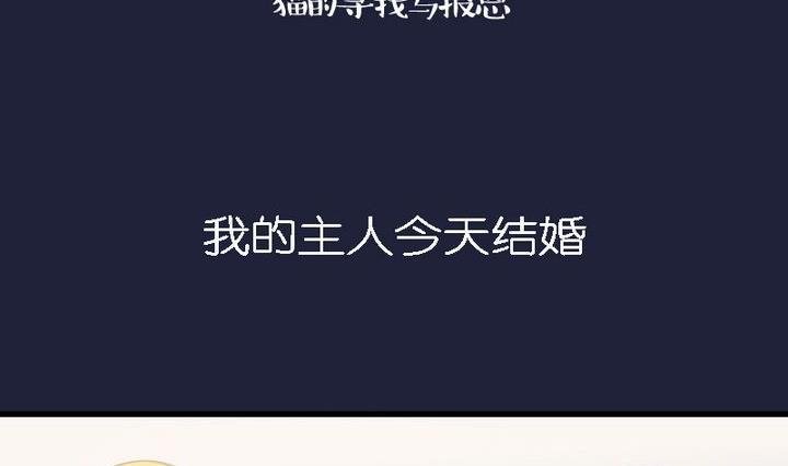 第46话 猫的寻找与报恩