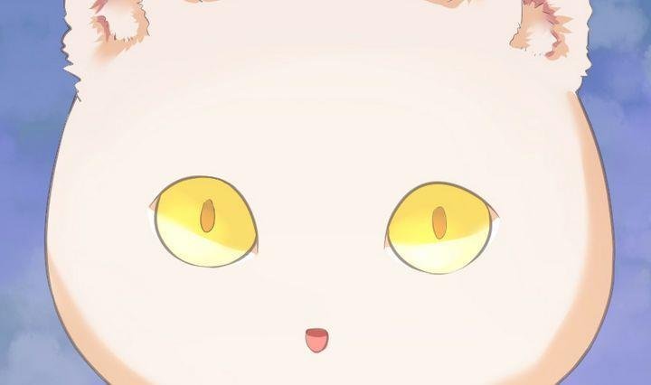 第46话 猫的寻找与报恩