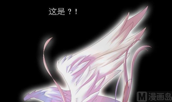 第46话 猫的寻找与报恩