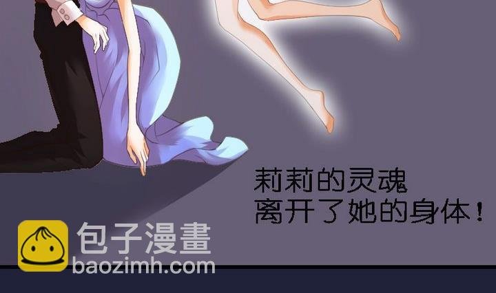 第46话 猫的寻找与报恩