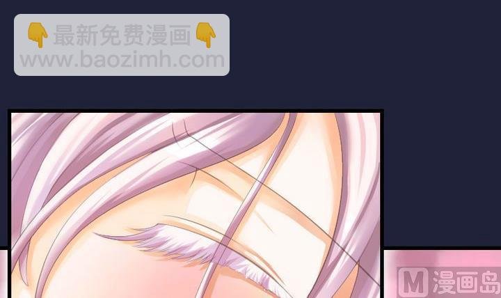 第46话 猫的寻找与报恩