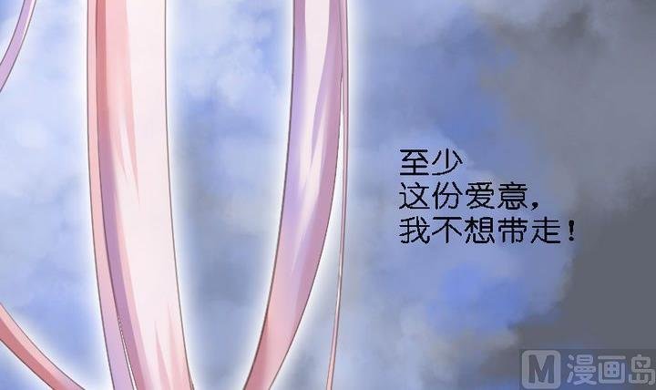 第46话 猫的寻找与报恩