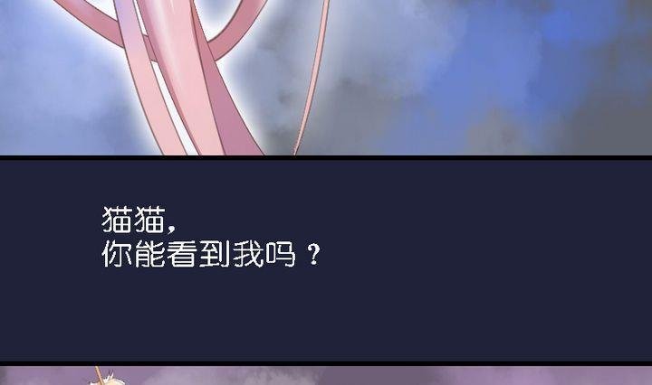第46话 猫的寻找与报恩