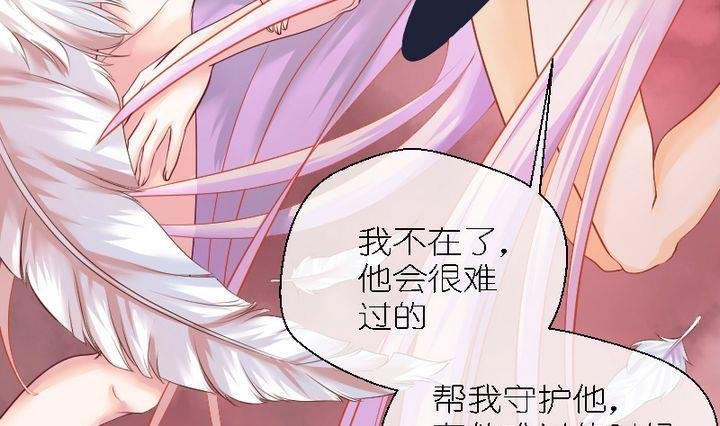 第47话 猫的报恩与死亡