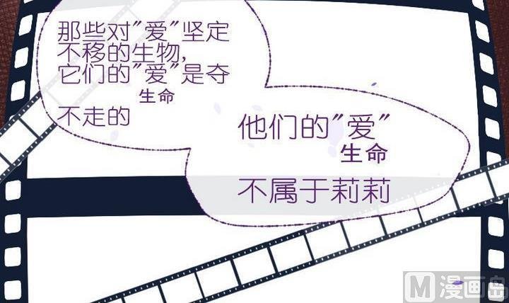 第8话 莉莉的动机 八