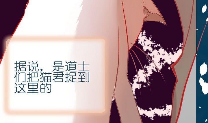 第9话 莉莉的动机 九