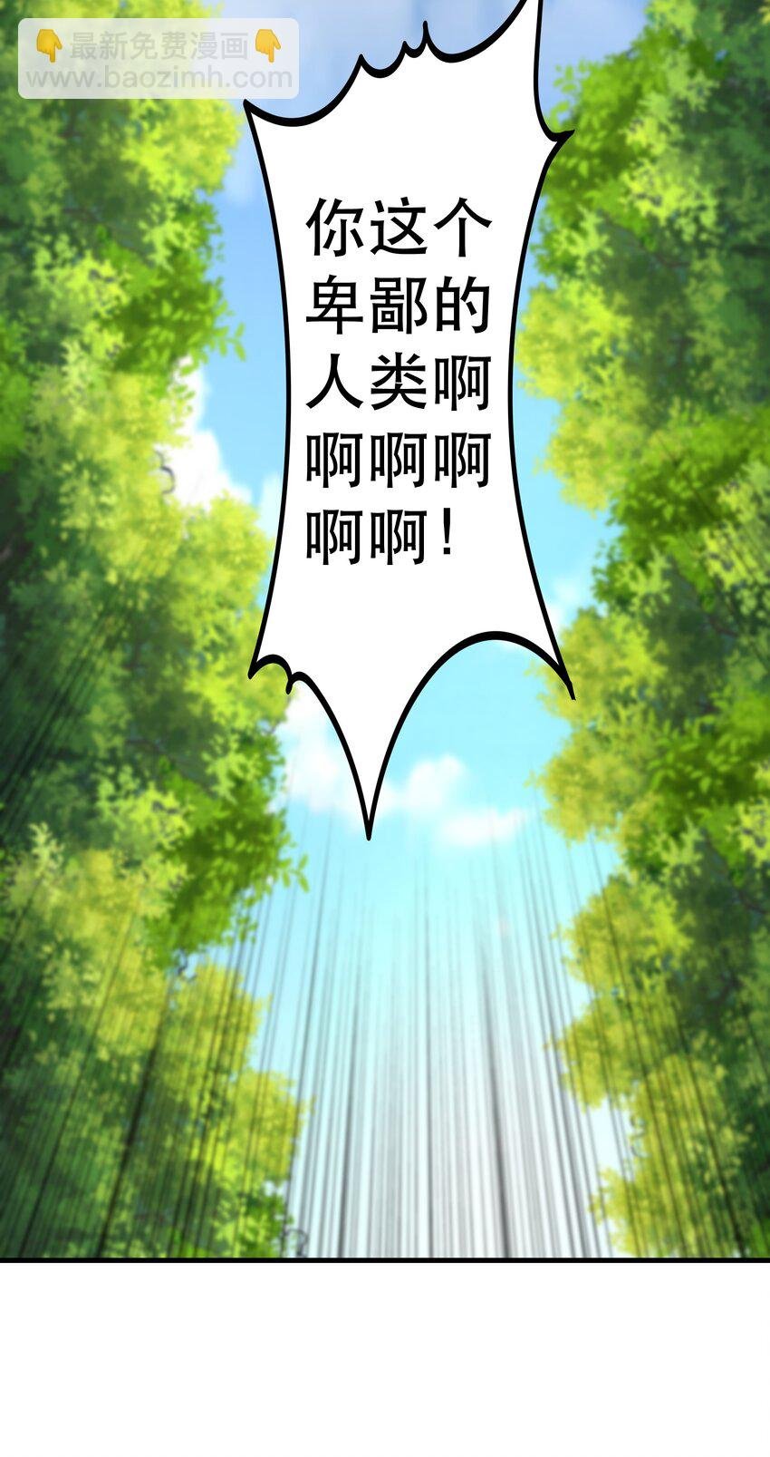 014 精灵族