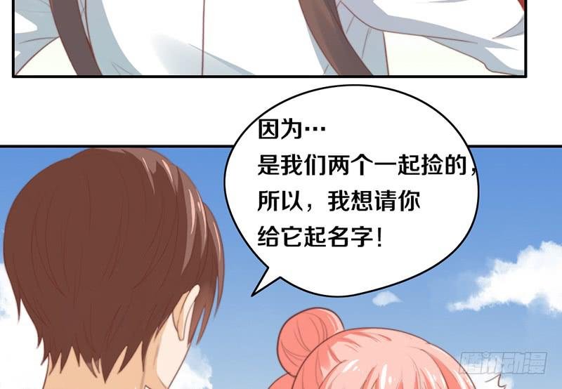 第14话 你点的狗粮已到