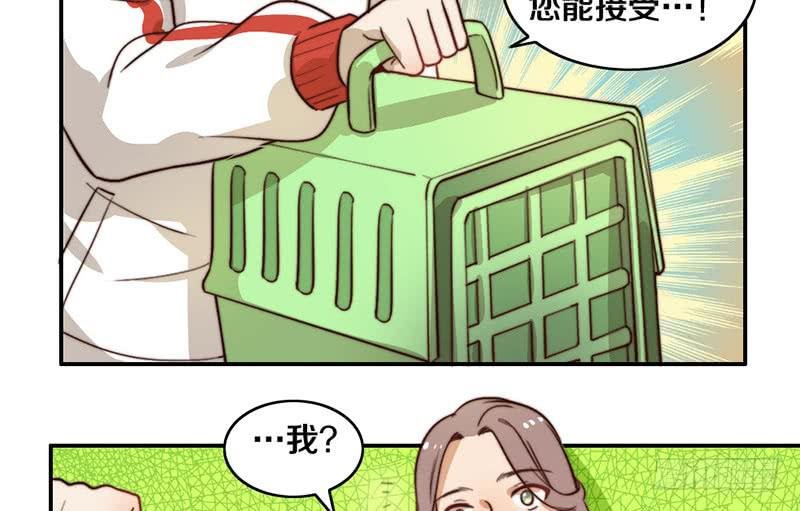 第29话 礼物