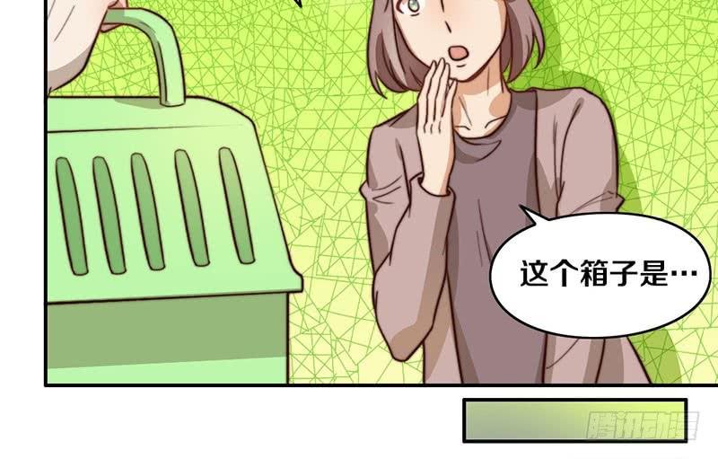 第29话 礼物