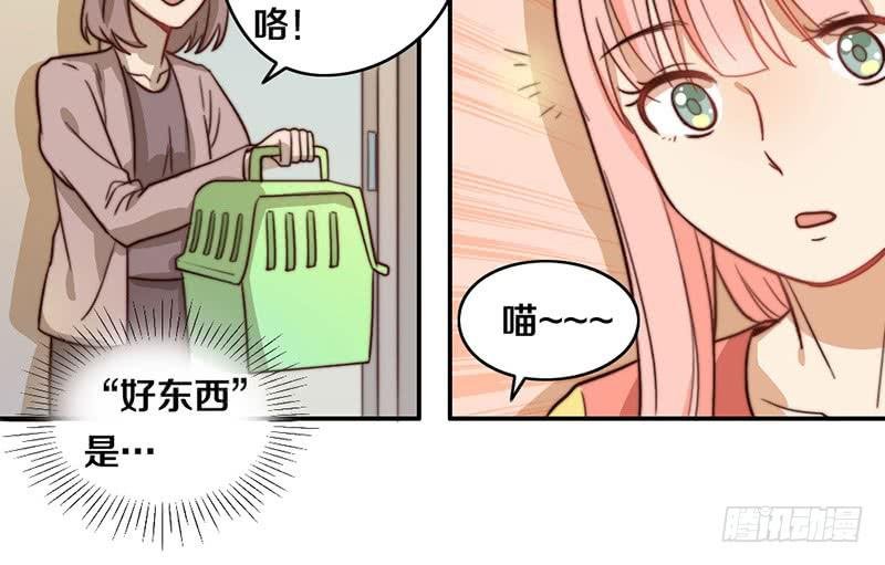 第29话 礼物
