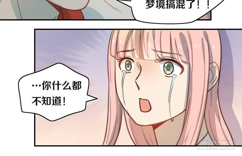 第30话 梦中的朋友