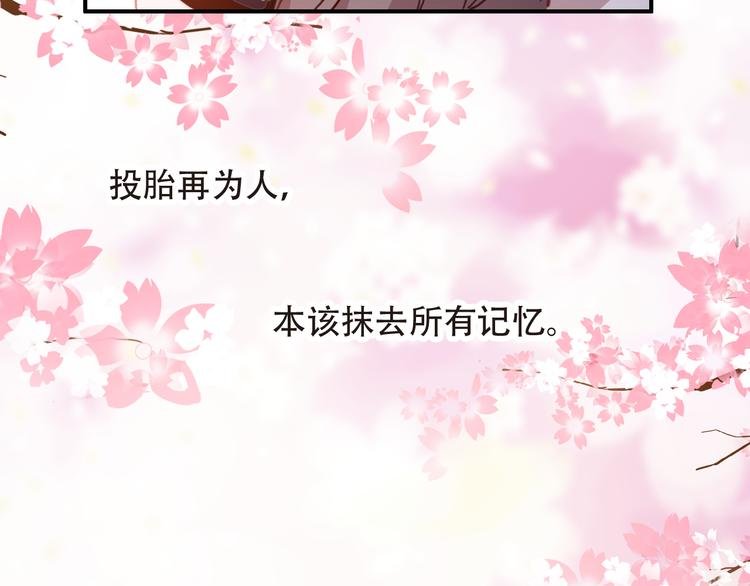 第14话 突如其来的订婚？！
