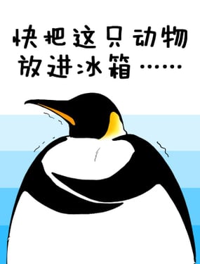 wuliandianfeng-pikapi