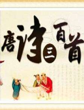 wuliandianfeng-pikapi