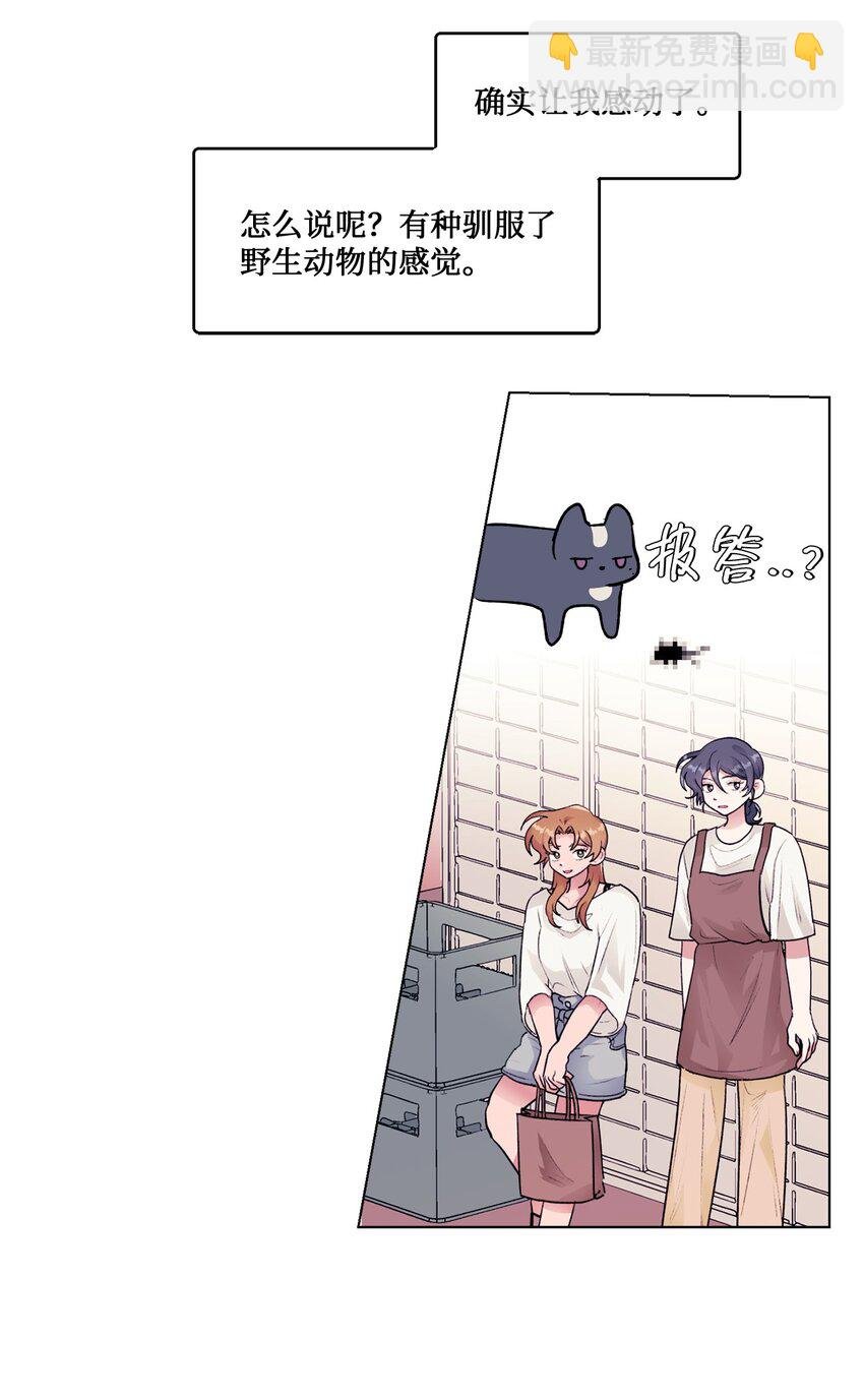 24 错觉