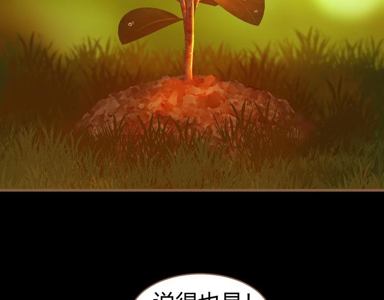 番外 小树苗