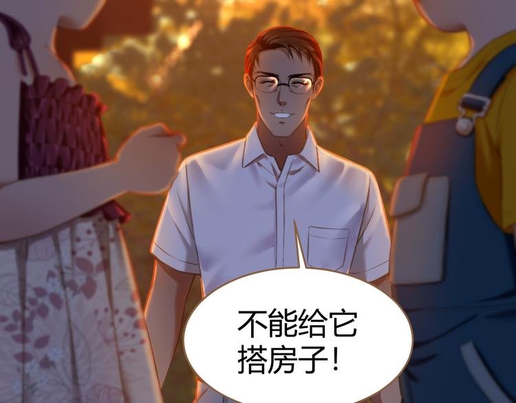 番外 小树苗