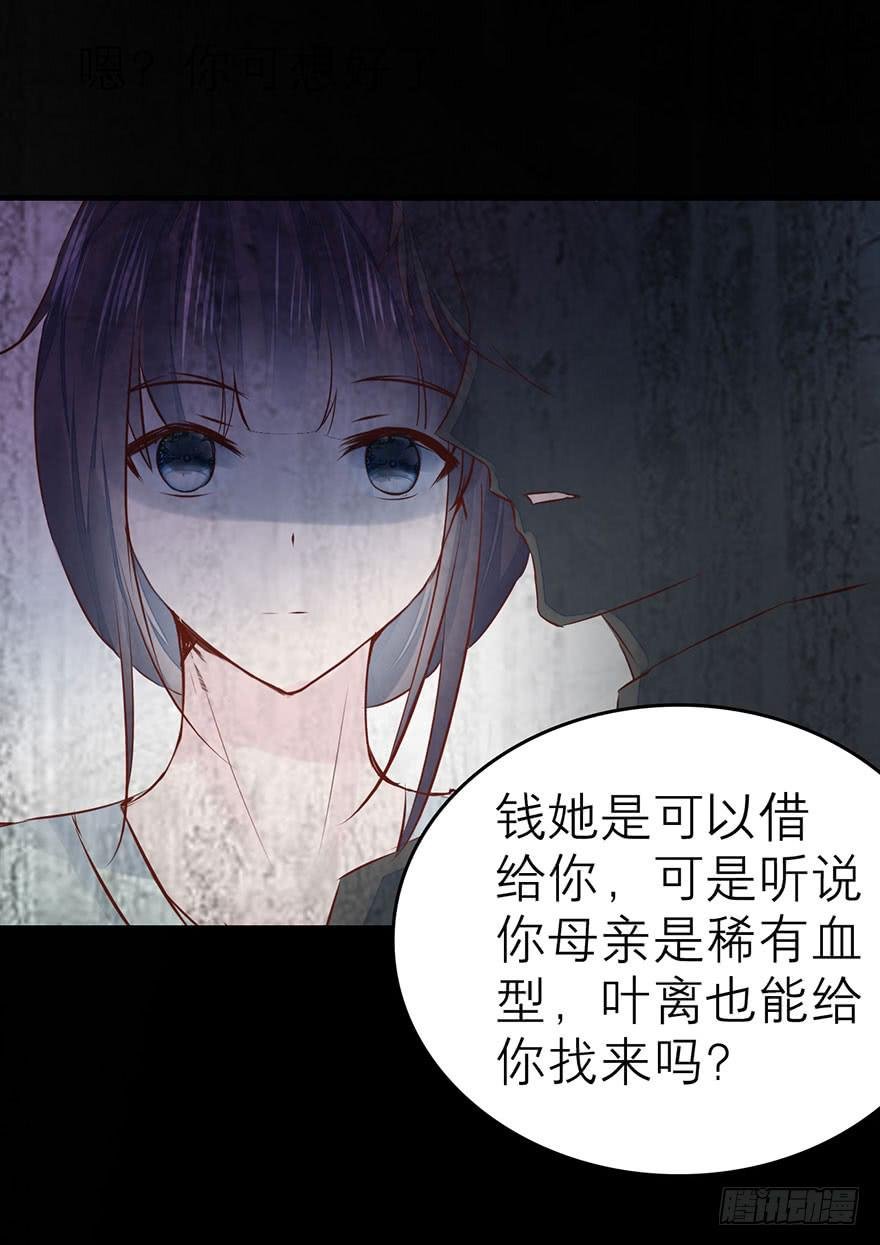 杨杨的记忆