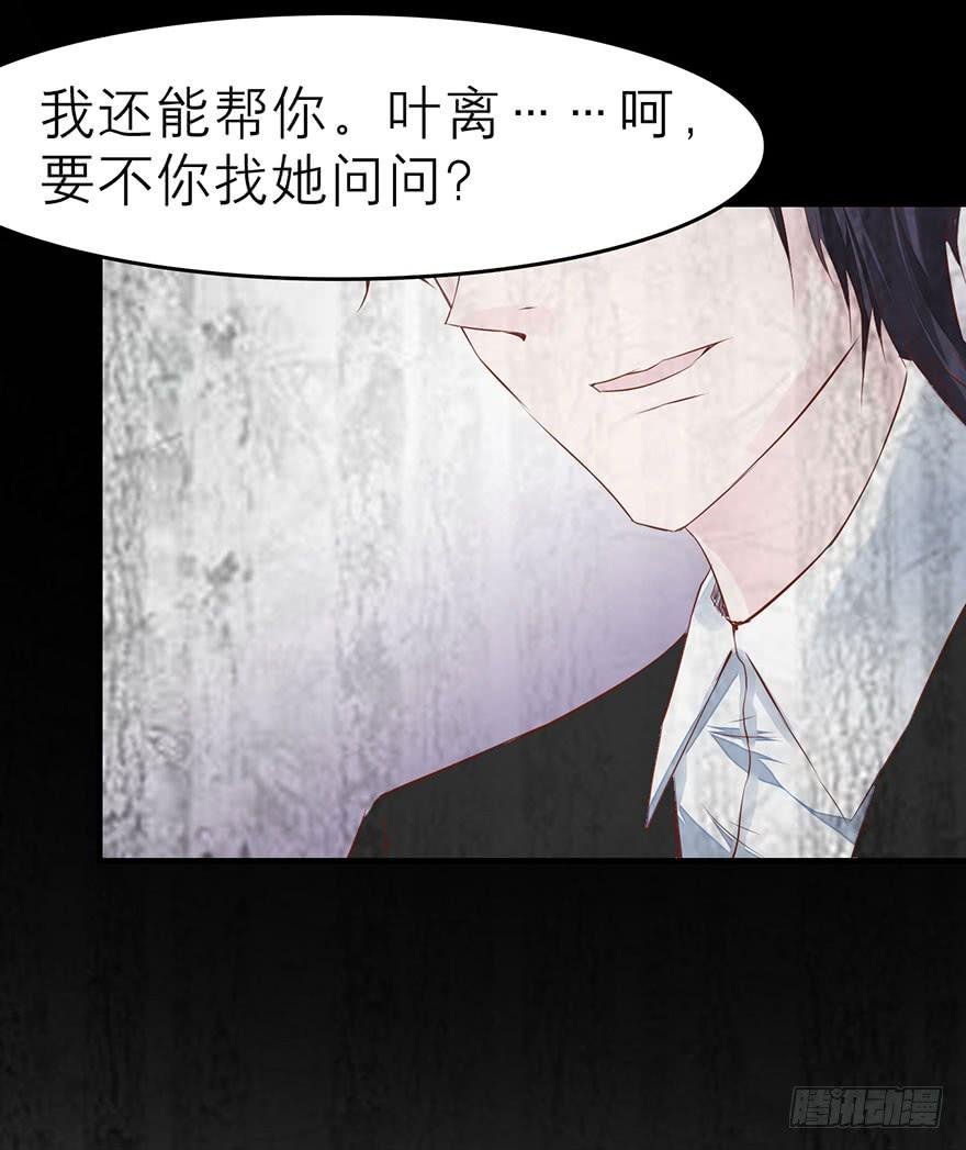 杨杨的记忆