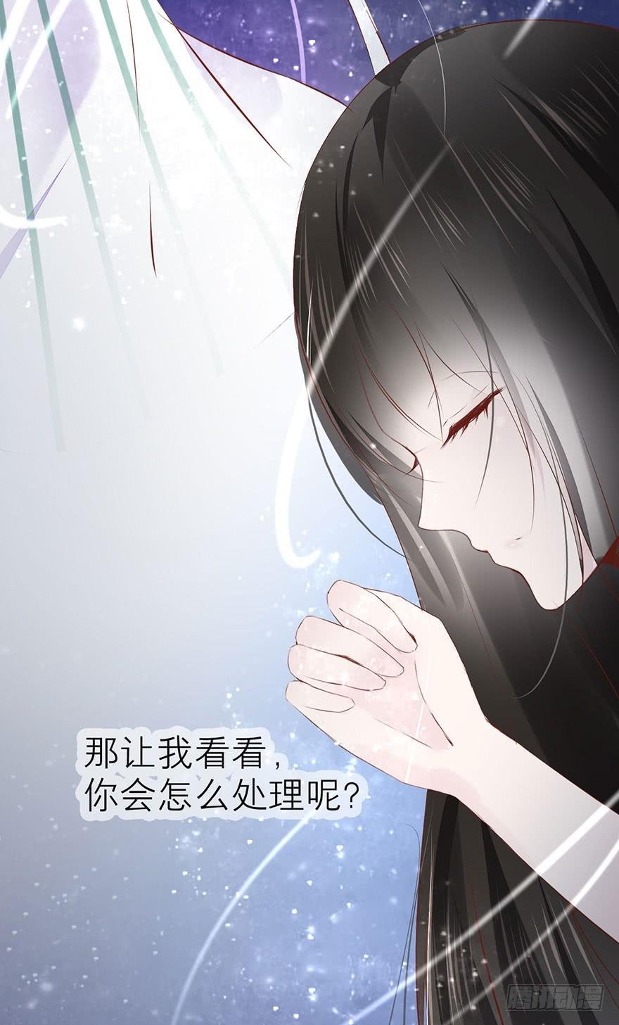 杨杨的记忆