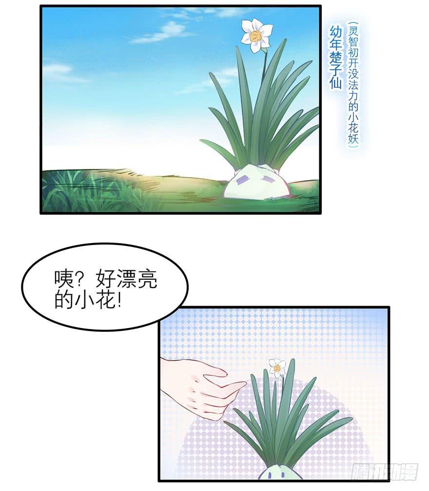 复仇的原因是？