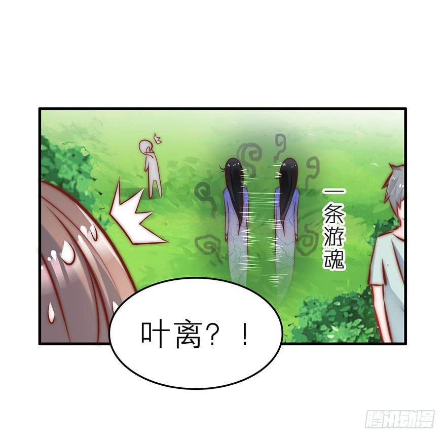 又见面了