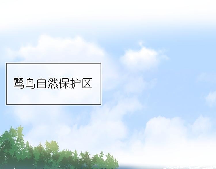07、在树荫之下