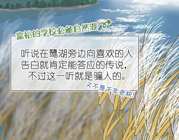 07、在树荫之下
