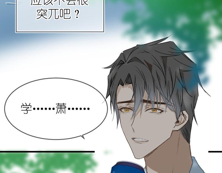 07、在树荫之下