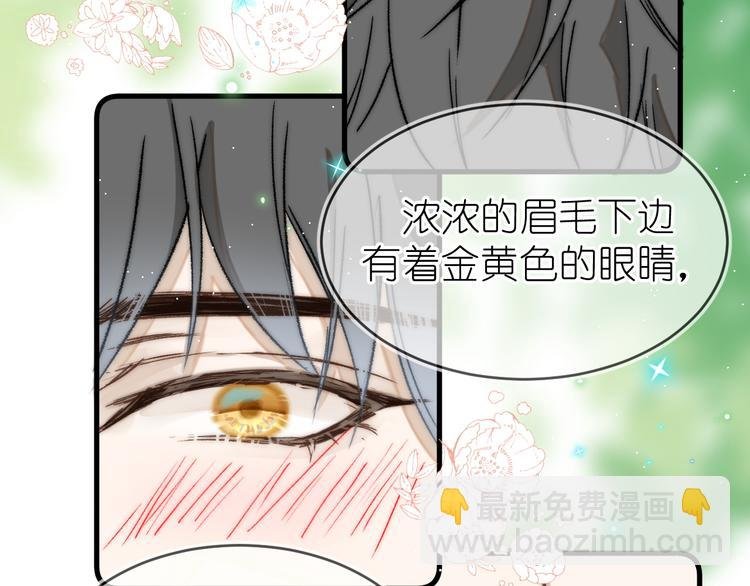07、在树荫之下