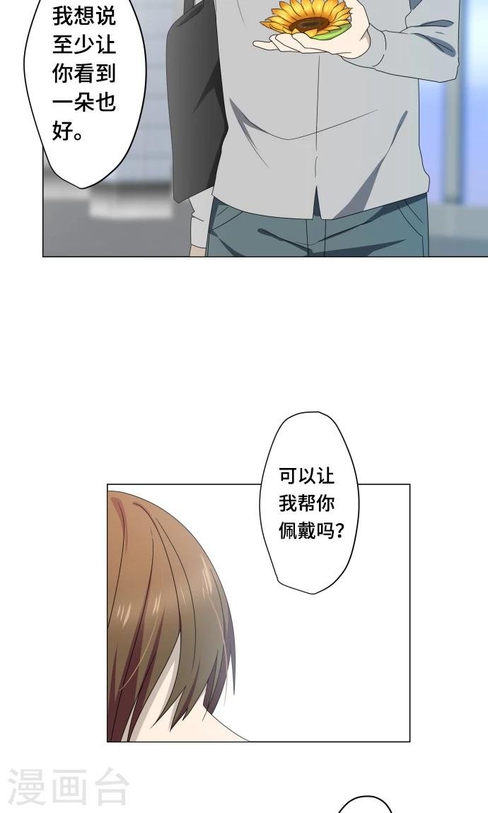 第11话 献给向日葵般的你1