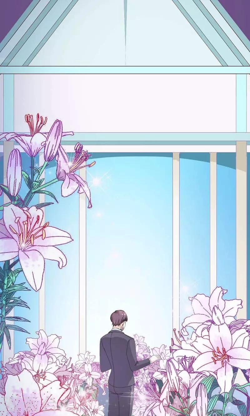 第27话 百合花的回忆
