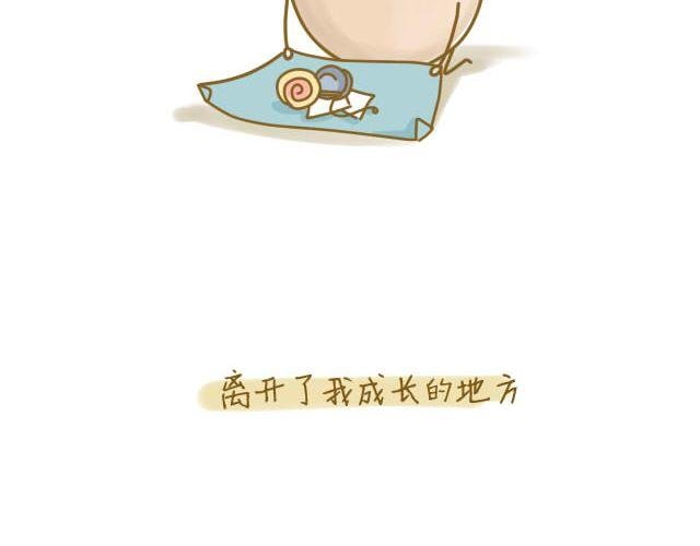 归途