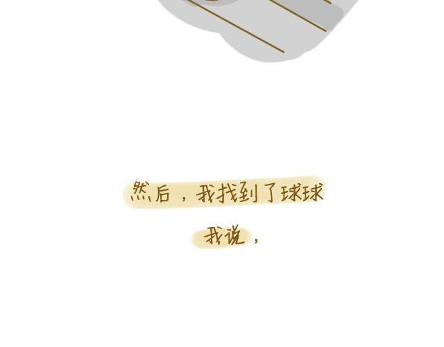 归途