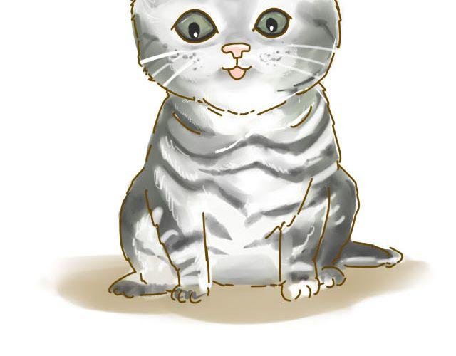 蛋蛋心梦#1