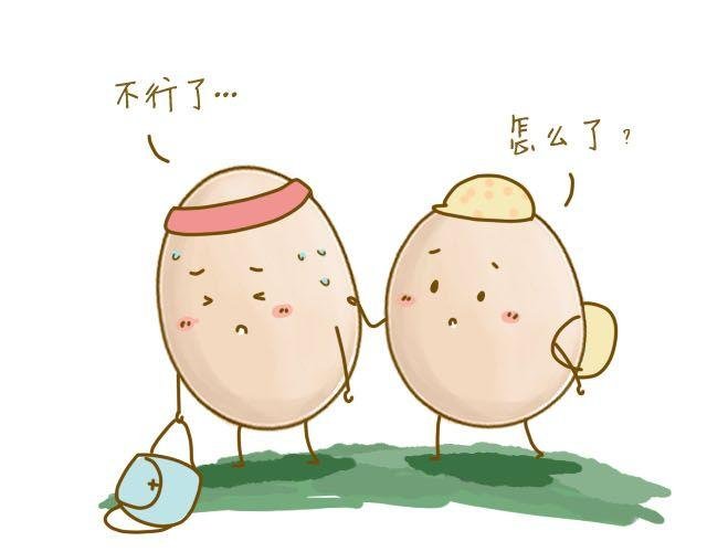 番茄炒蛋