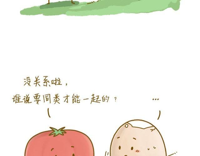 番茄炒蛋