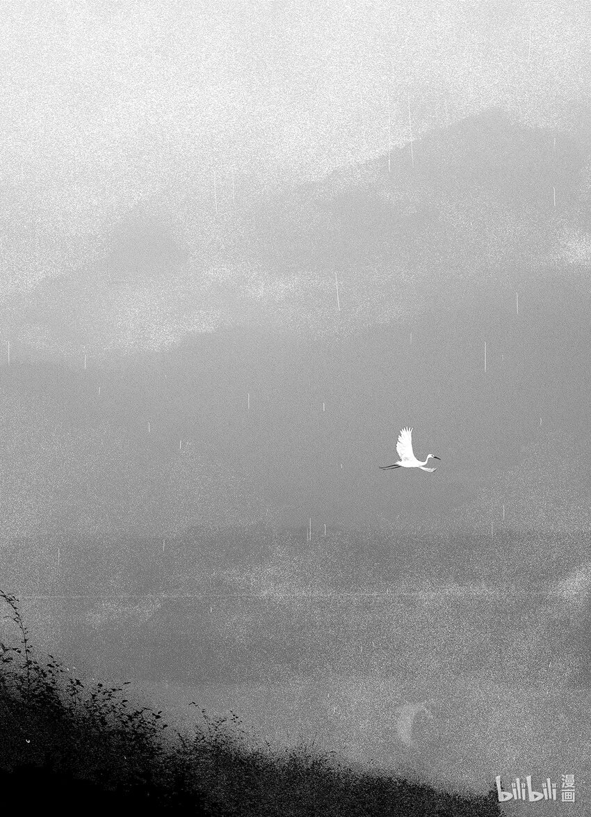  雨