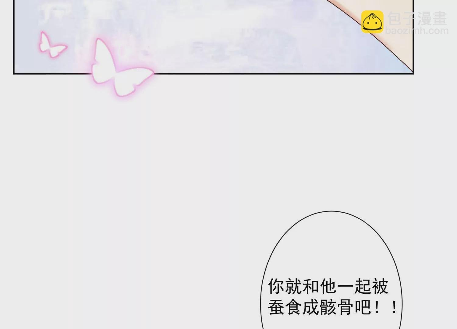 第11话 净化之力