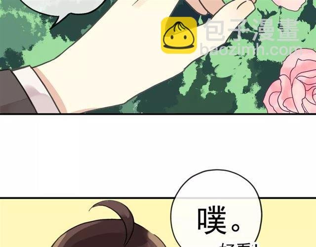 第62话 选择