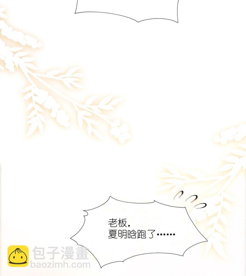 006 叶非