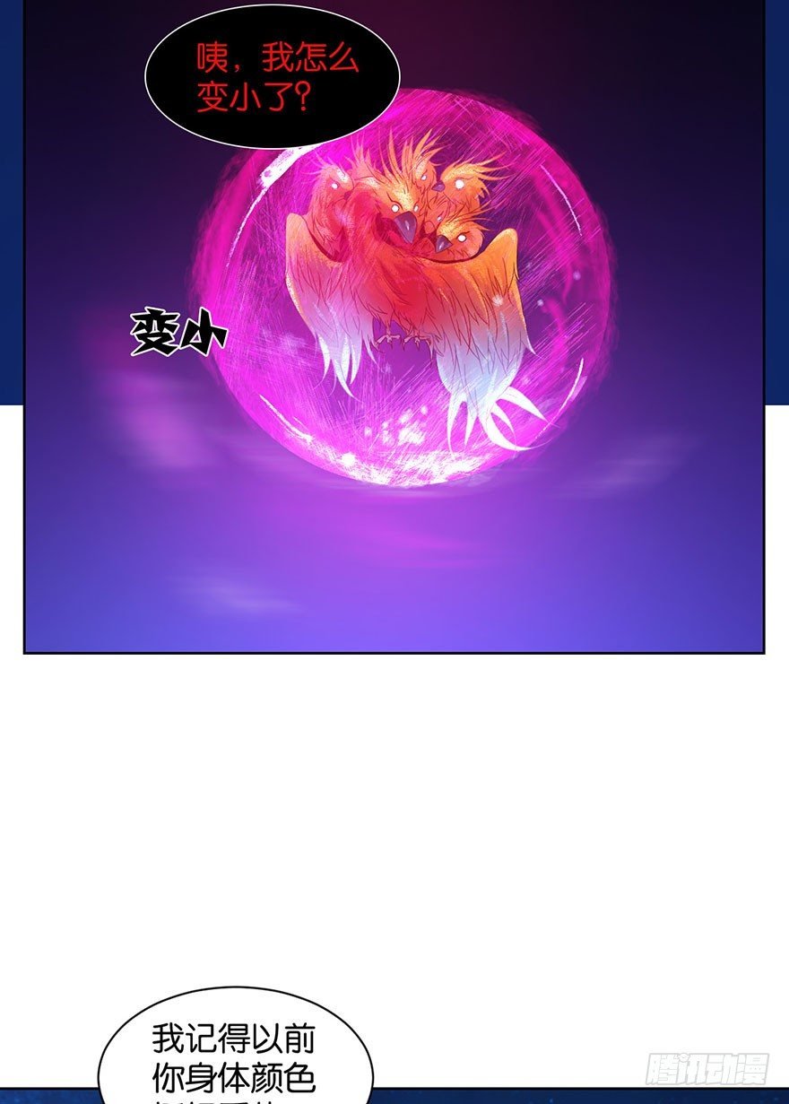 第十五话 姐，不要死